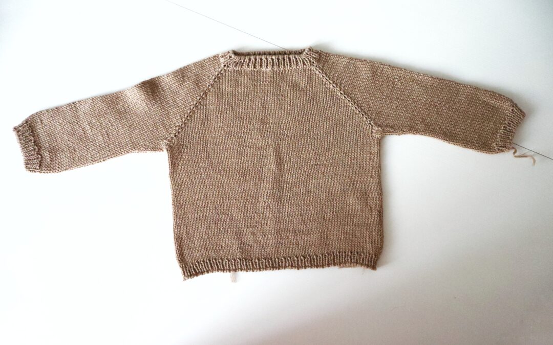 28. Jersey ranglan para niños – Jersey Iacobus